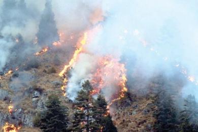 यस वर्ष गण्डकी प्रदेशमा डढेलोबाट हुने क्षति कम